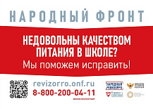 Народный фронт